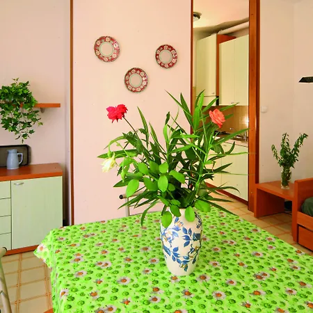 Tatil parkı Punta Gro 2*